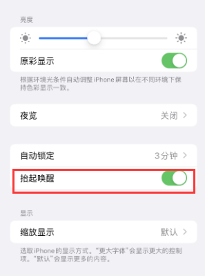 漯河苹果授权维修站分享iPhone轻点无法唤醒怎么办