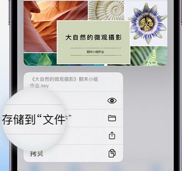 漯河apple维修中心分享iPhone文件应用中存储和找到下载文件