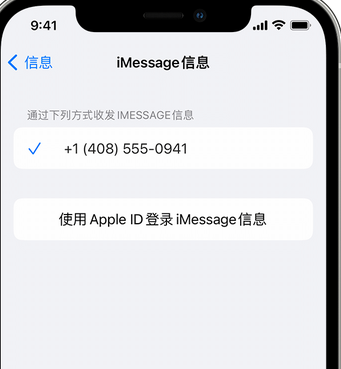 漯河apple维修iPhone上无法正常发送iMessage信息 