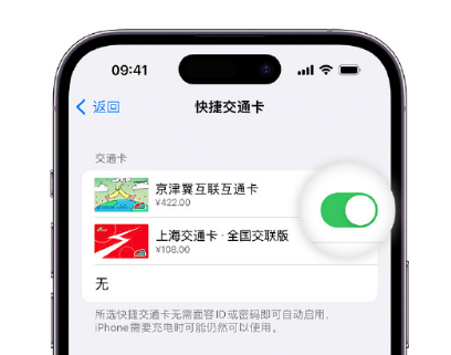 漯河apple维修点分享iPhone上更换Apple Pay快捷交通卡手绘卡面 