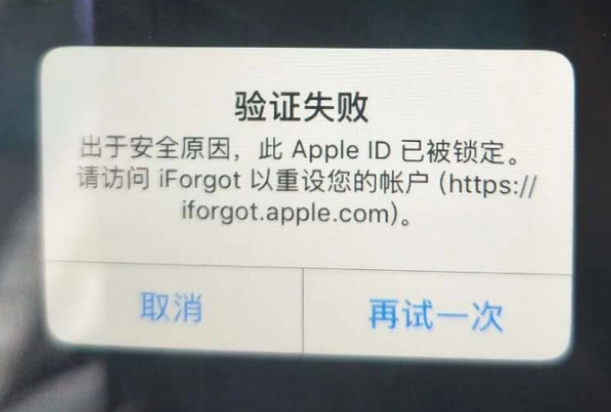 漯河iPhone维修分享iPhone上正常登录或使用AppleID怎么办 