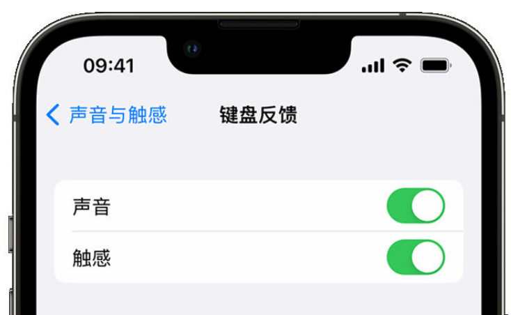 漯河苹果手机维修分享iPhone 14触感键盘使用方法 