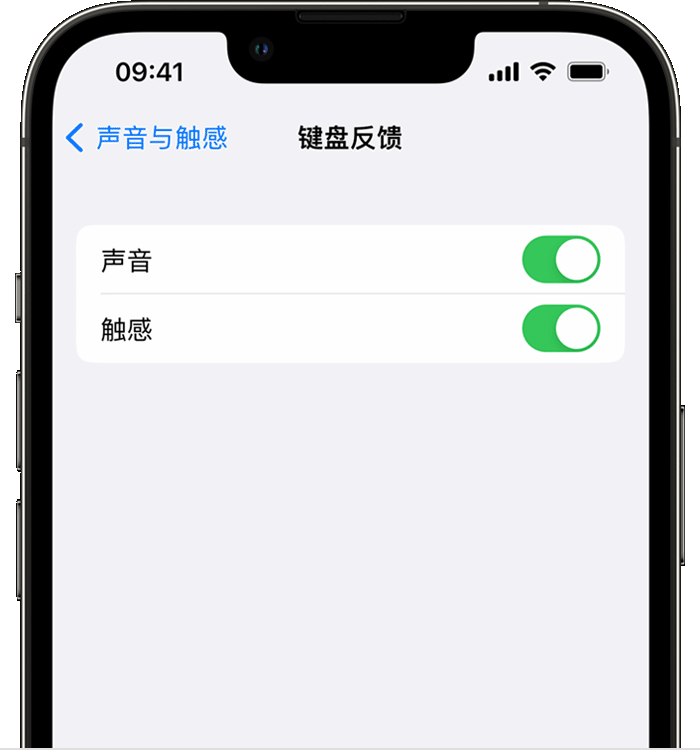 漯河苹果14维修店分享如何在 iPhone 14 机型中使用触感键盘 