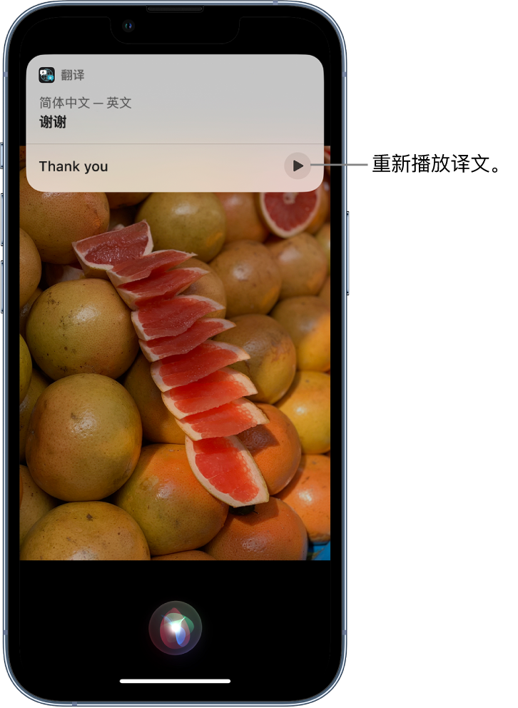 漯河苹果14维修分享 iPhone 14 机型中使用 Siri：了解 Siri 能帮你做什么 