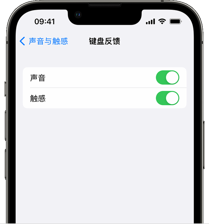 漯河苹果14维修分享iPhone 14 系列机型如何开启键盘声音或触感反馈 