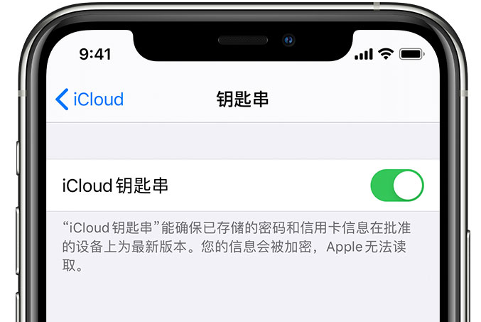 漯河苹果手机维修分享在 iPhone 上开启 iCloud 钥匙串之后会储存哪些信息 