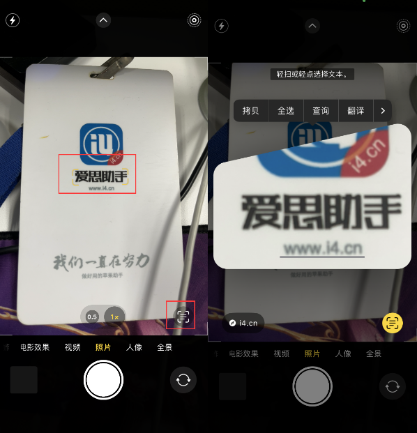 漯河苹果手机维修分享升级iOS 16后如何通过相机翻译文本 