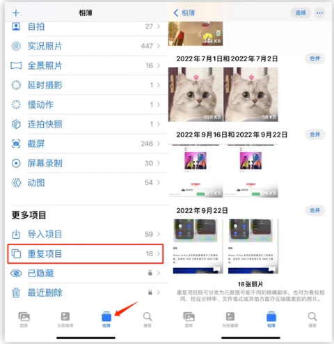 漯河苹果手机维修分享iOS 16 中相册重复项目功能使用方法 