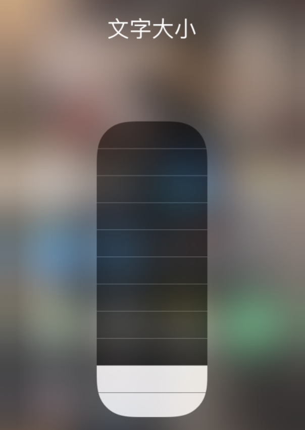 漯河苹果手机维修分享小技巧：在 iPhone 控制中心快速调节字体大小 