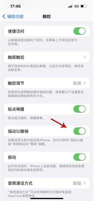 漯河苹果手机维修分享iPhone手机如何设置摇一摇删除文字 