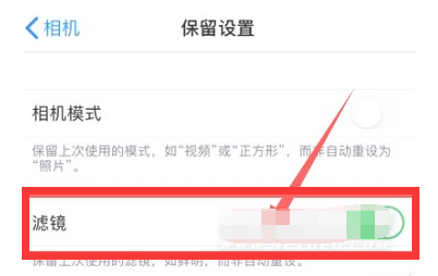 漯河苹果13维修分享iPhone13拍照有绿点是怎么回事 