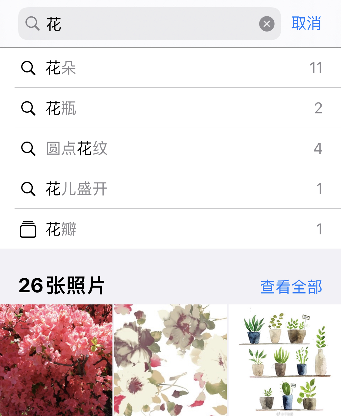 漯河苹果手机维修分享iPhone 小技巧 