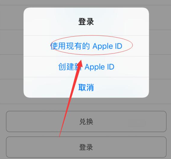 漯河苹果手机维修分享两台iPhone设备可以同时登录一个Apple ID吗 
