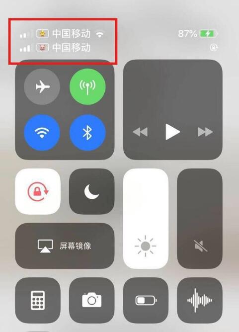 漯河苹果手机维修分享为 iPhone 12 双卡设置标签 